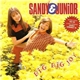 Sandy & Junior - Dig Dig Joy